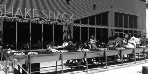New York City’s famed Shake Shack sets up shop in Boston