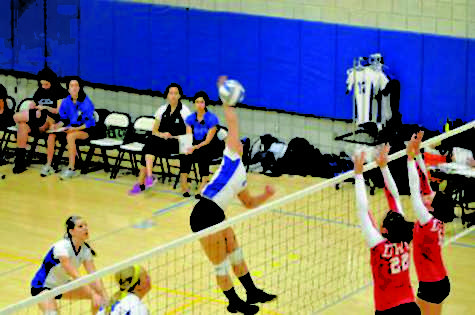 Volleyball Rams triumph over the Salem State Vikings