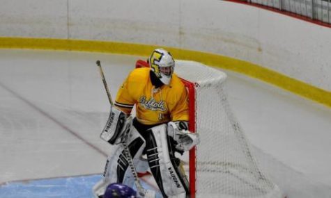 Suffolk splits against Western New England College, Wildcats