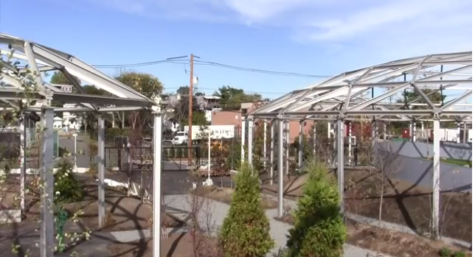 Chelsea reconnects with waterfront with new port park