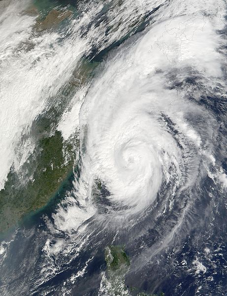 Typhoon Haiyan makes landfall
(Photo courtesy of Wikimedia Commons)