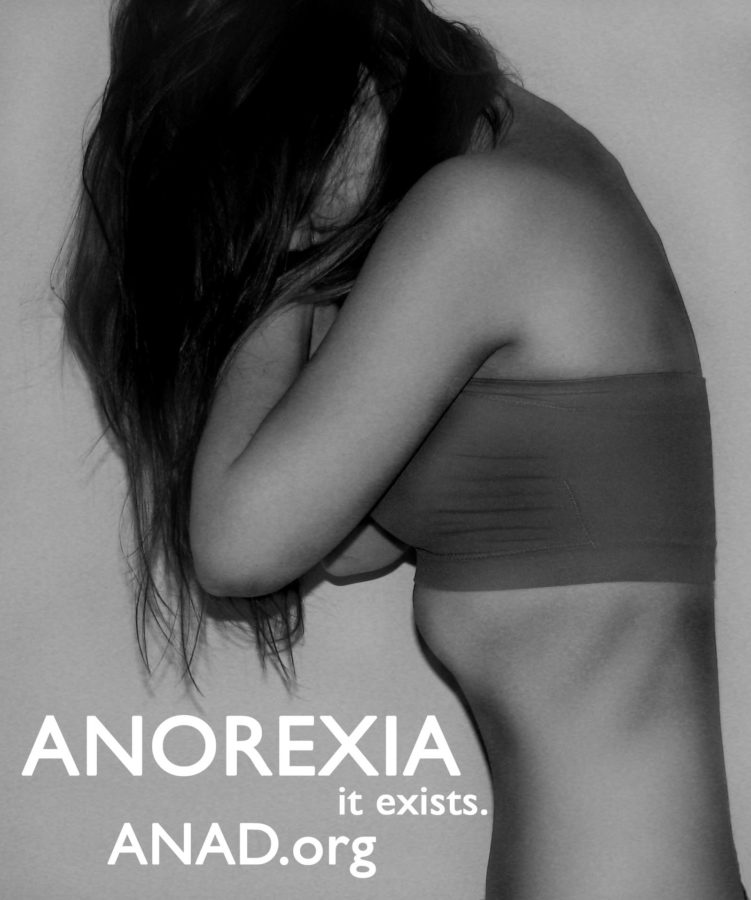 The National Association of Anorexia Nervosa and Associated Eating Disorders (ANAD.org) has resources to help anorexics adopt a healthy 
lifestyle, unlike MyProAna
(Photo by Flickr user ANAD)