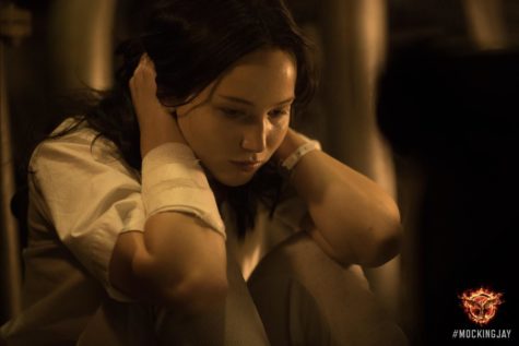 Odds are not in Hunger Games fans’ favor