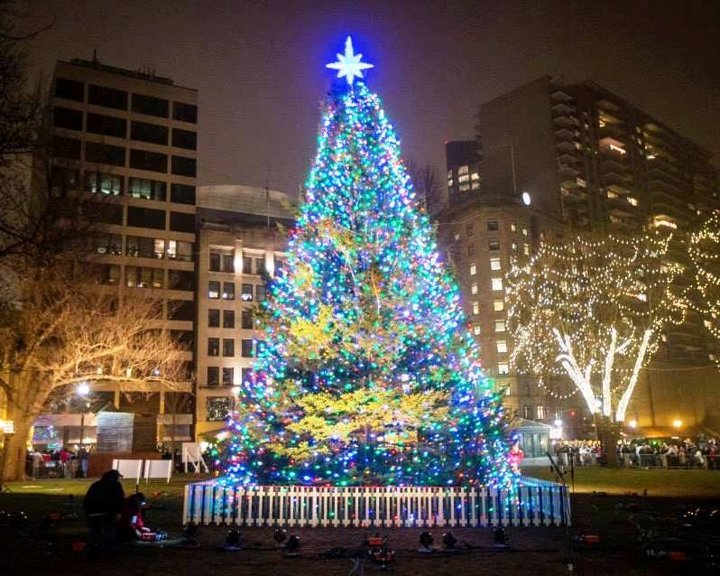 Tradition continues with Nova Scotia tree
