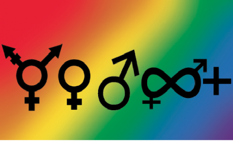 Importance of Inclusivity: QSU promotes diversity on campus