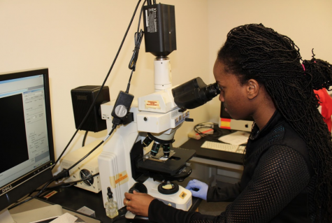 Suffolk research students thrive on bacteria