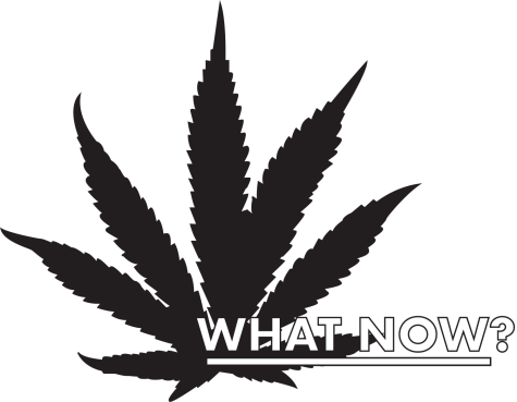The future of MA legalization deliberated
