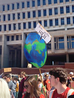 Boston youth take part in Global Climate Strike