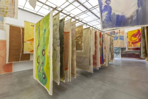Vivian Suter brings Guatemala to Boston with her nature inspired paintings