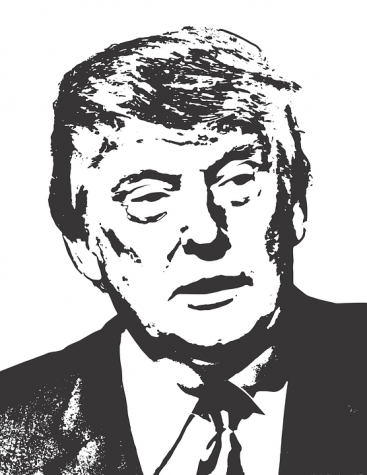 Calling Trump mentally ill is an insult to those who actually suffer from mental illness