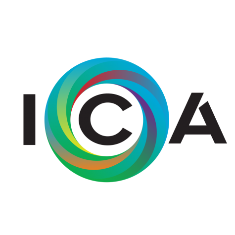 Students embrace diversity through new Intercultural Association