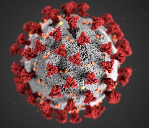 Five Suffolk University students test positive for COVID-19