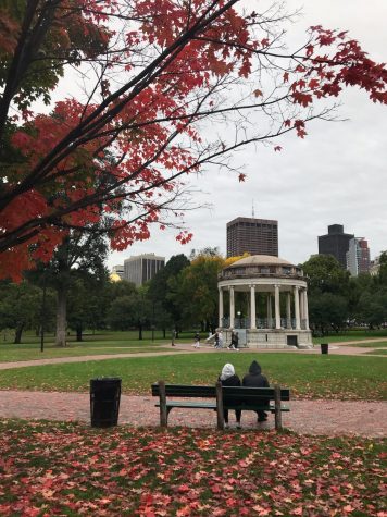 Fall in Boston Common