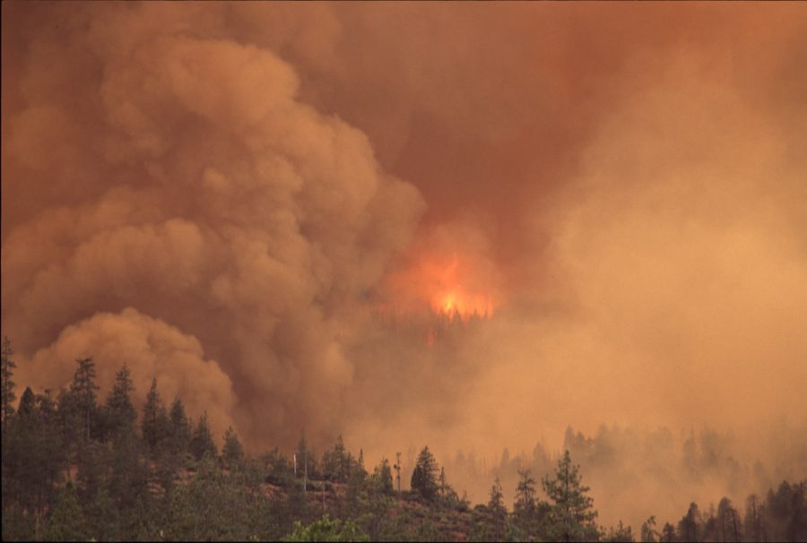 Image courtesy of Bureau of Land Management Oregon and Washington