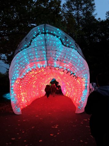 franklin zoo lantern lights