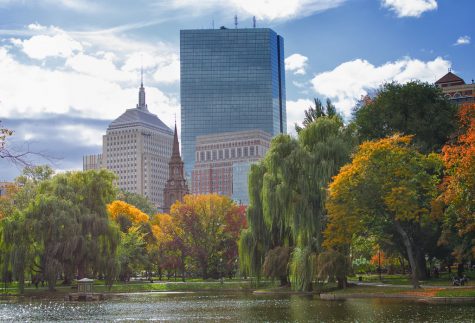The Boston Public Garden shows off its fall colors.
