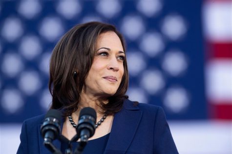 Opinion: Kamala Harris as VP should give hope to everyone