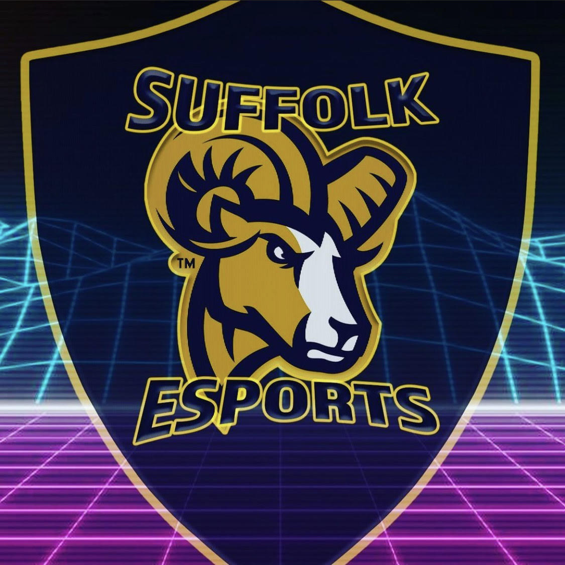 Suffolk Esports looks to bounce back in spring semester The Suffolk