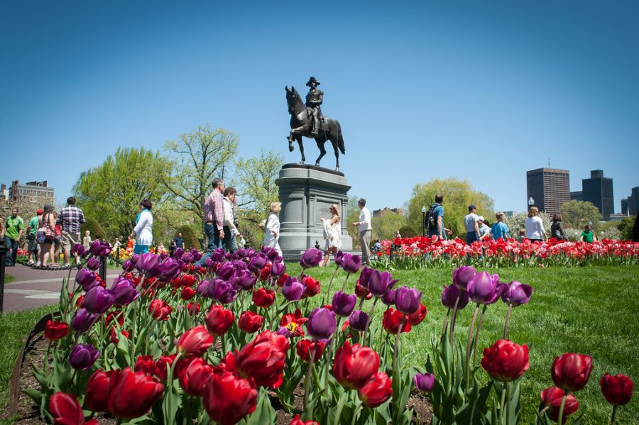 The Boston Public Garden in the spring.