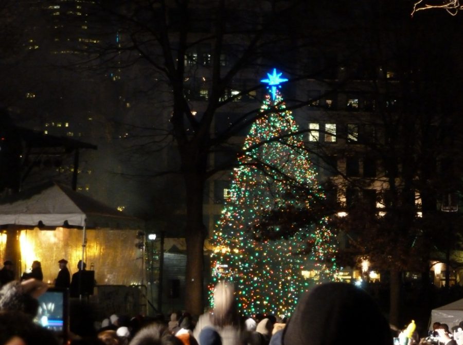 The Boston Common Tree will be lit on Dec. 2 at 7 p.m.