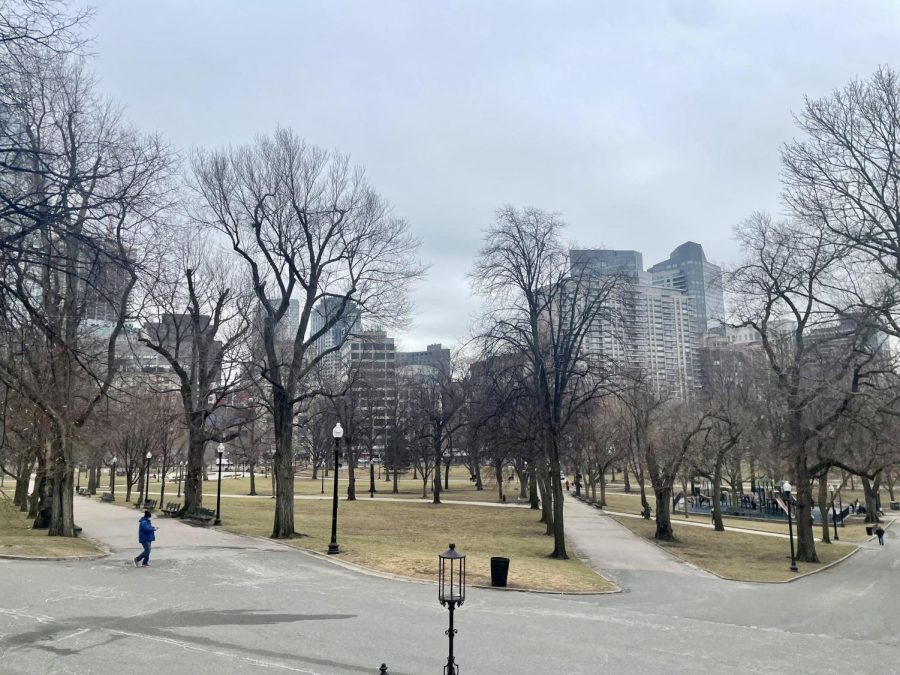 Boston Common as seen from Beacon Street. The Common was restored to its original state to be used as the set for the 1989 war-drama Glory, set in the time of the Civil War.