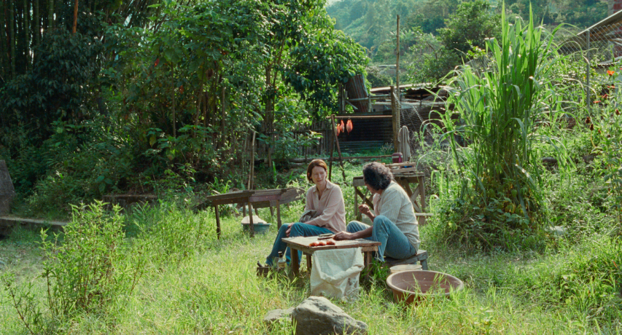 Memoria, directed by Apichatpong Weerasethakul, is playing an exclusive area run at the Coolidge Corner Theatre.