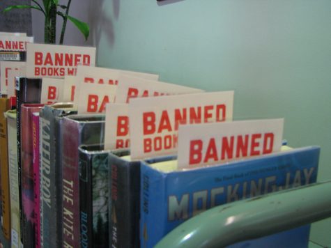 OPINION: Book bans are a hindrance to our children and our future