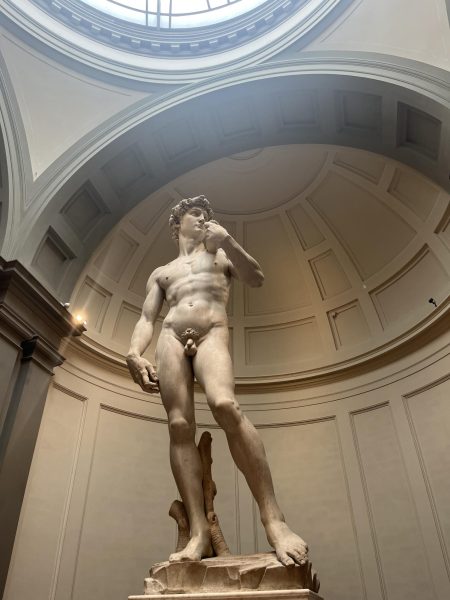 Statue of David in Florence, Italy.