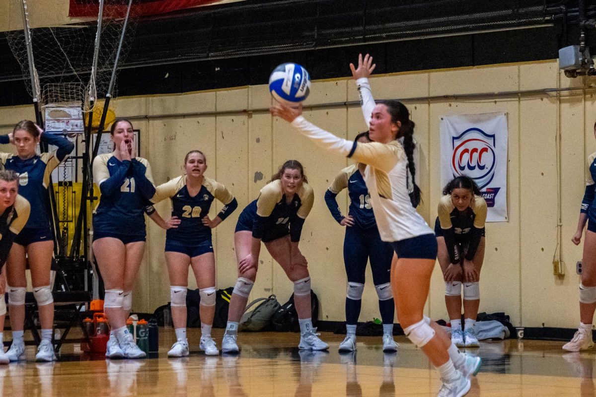 Libero Morgan Kelsey serves the ball during a semifinal playoff matchup against the Wentworth Institute of Technology Nov. 9, 2023.