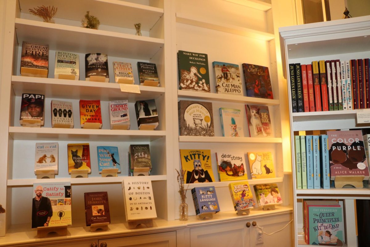 Inside the cafe, you have the option to shop novels, indulge in pastries and relax with cats at the newest addition to Beacon Hill.