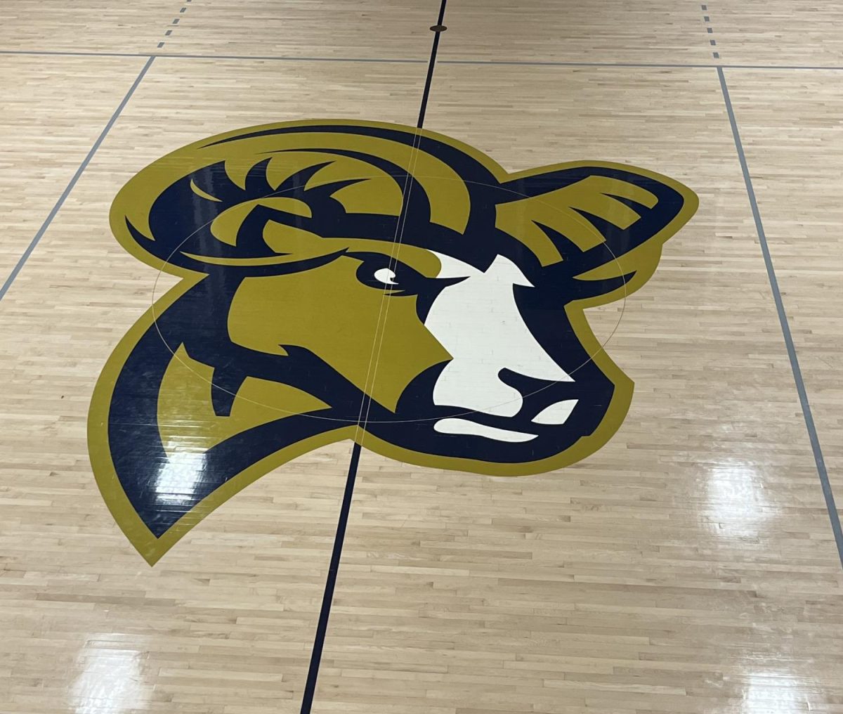 Suffolk University women's basketball is entering another season at the Larry E. Smith and Michael S. Smith Court.