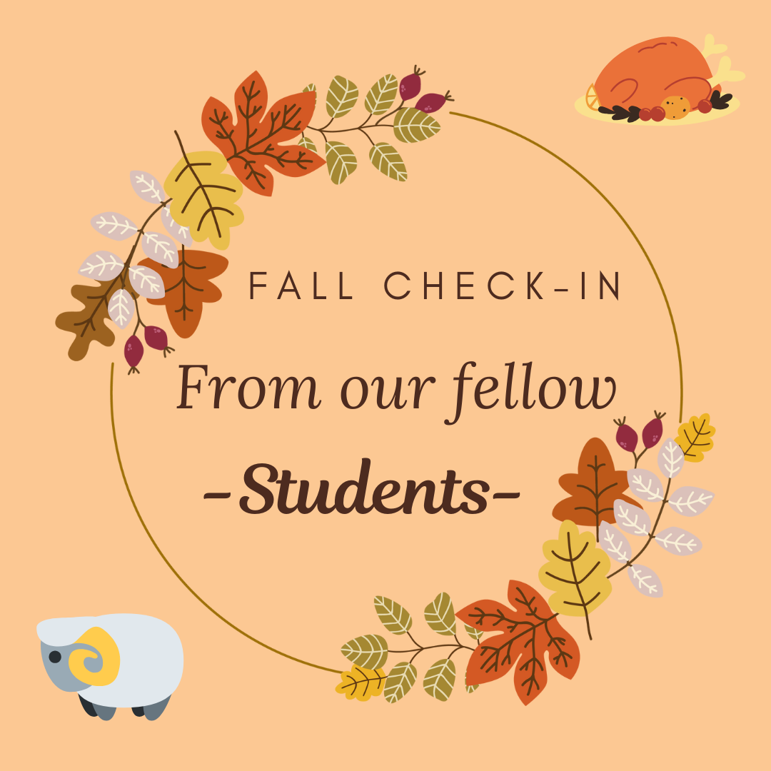 Fall Check-In