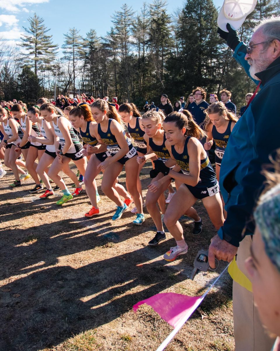 The women's cross country team on the start line at the NCAA East regional (courtesy of Cole Bolduc).