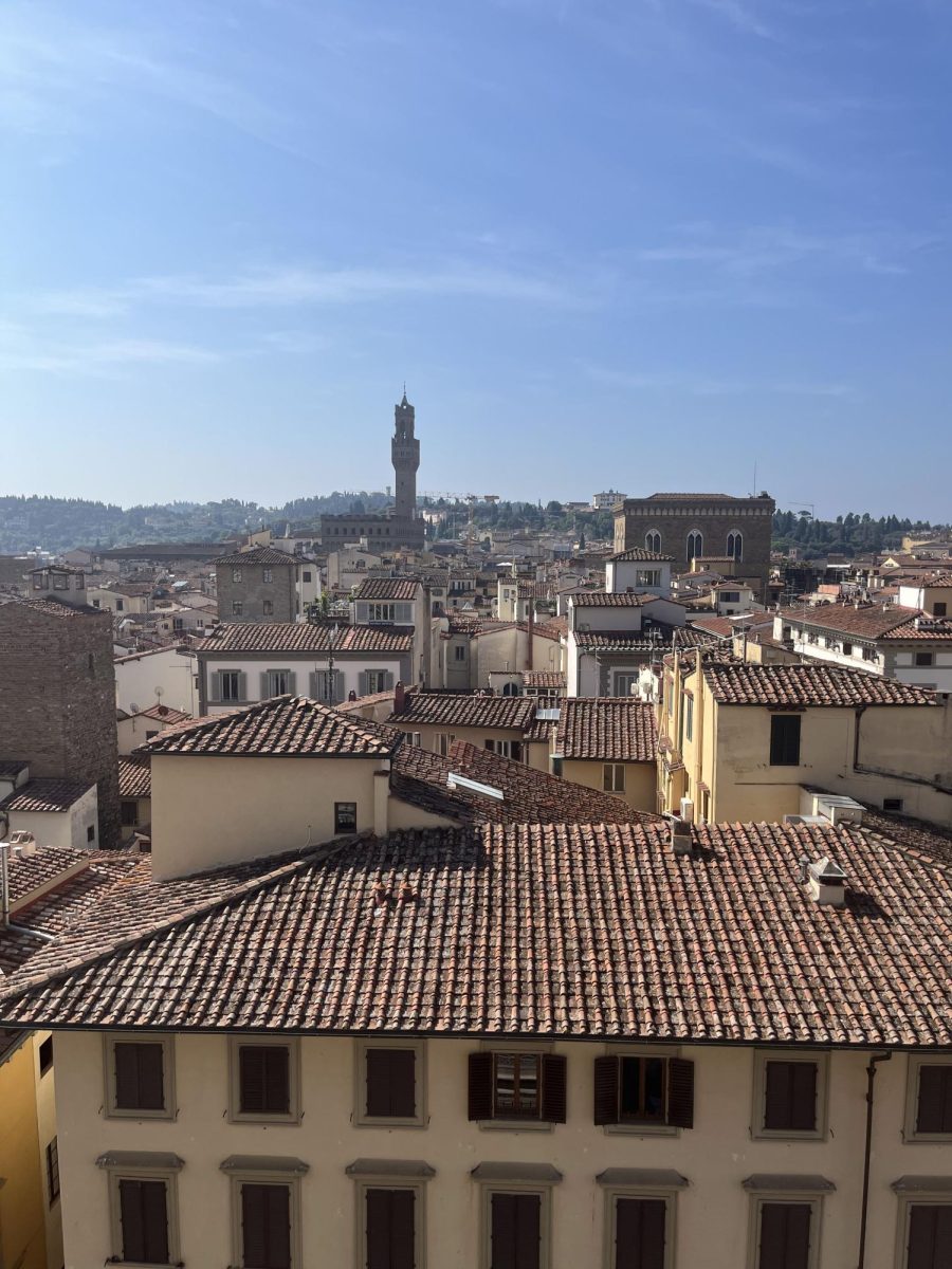 Beautiful Florence roofs with mountains in the distance.