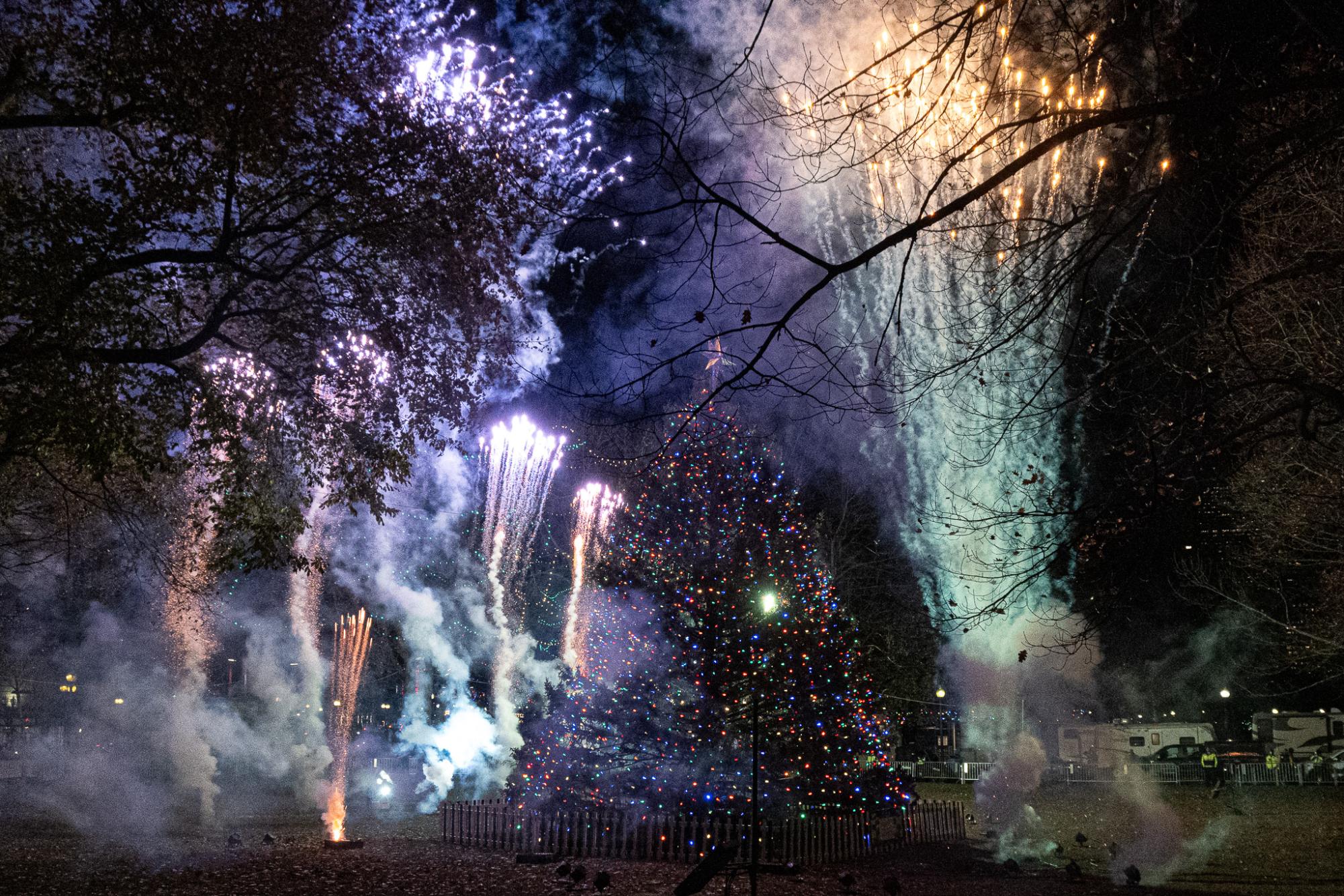 The Boston Common tree being lit on Dec. 7.