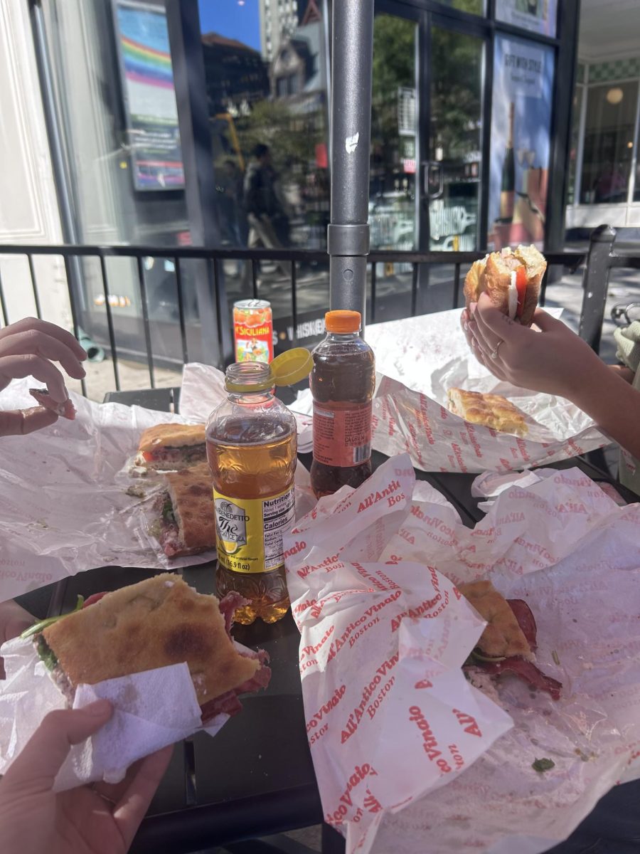 Florentine schiacciata sandwiches from All'Antico Vinaio in Back Bay. 