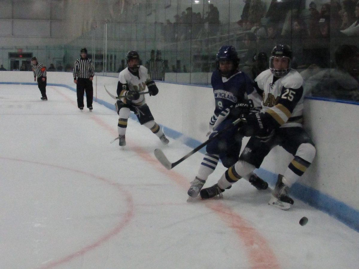 Defenseman Kyle Pelletier battling for a puck along the boards during a game against the University of New England.