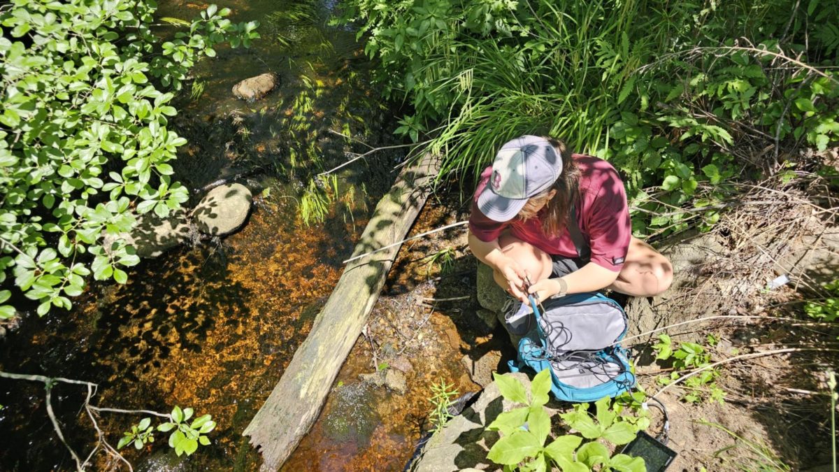Ella Weinmann collecting water samples for her research. Courtesy of Ella Weinmann.